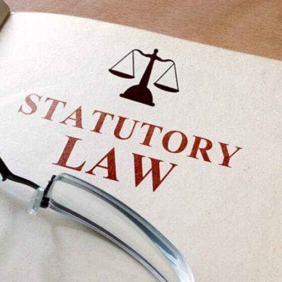 What Are Examples Of Statutory Law