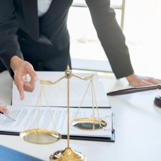 What Do Civil Rights Lawyers Do