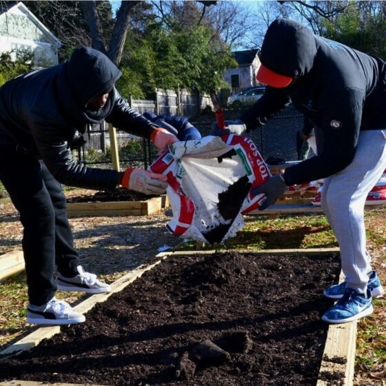What Is Court Ordered Community Service