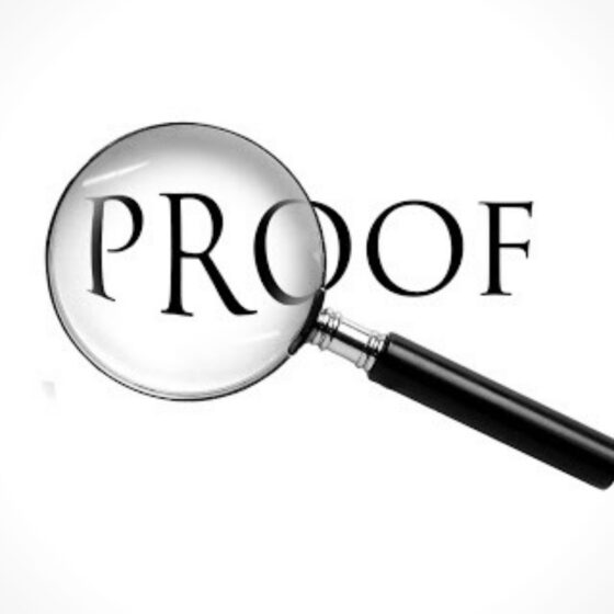 What Is The Burden Of Proof In Criminal Law