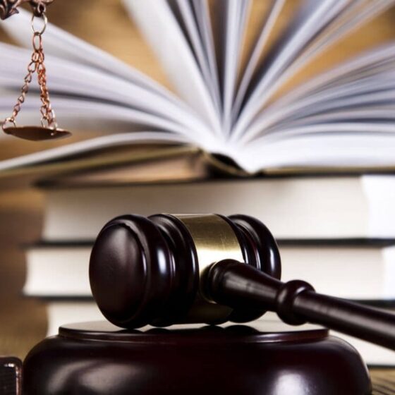 What Are The Sources Of Administrative Law