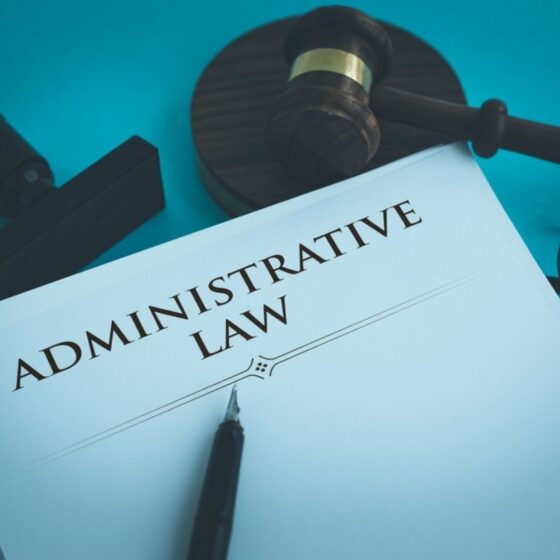 Who Makes Administrative Law