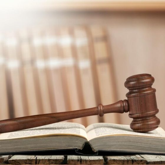 Article 1 of the constitution
