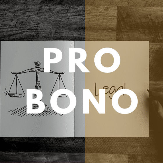 what does pro bono mean