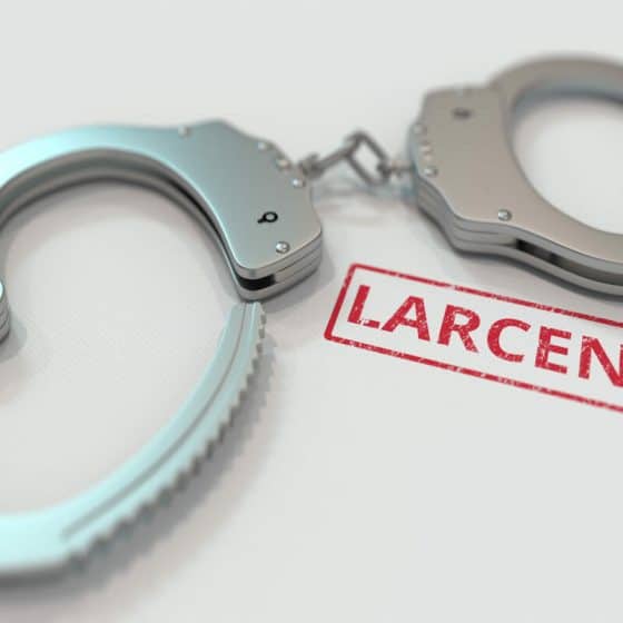 What Is Larceny