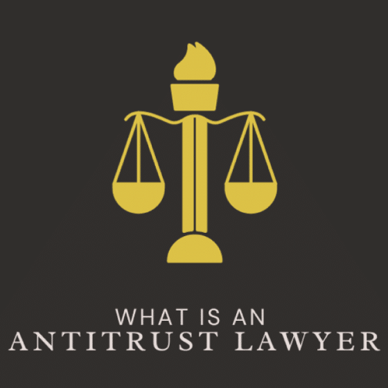 Understanding the Role of an Antitrust Lawyer: Safeguarding Competition in Business
