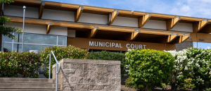 What types of cases appear in municipal courts? 