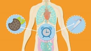 How long do edibles stay in the body: Exclusive Reddit drug test insights?