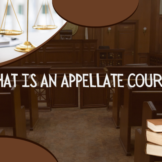 What Is An Appellate Court? What Makes Appellate Courts Significant?