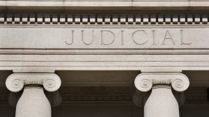What are the primary functions of appellate courts in legal proceedings?