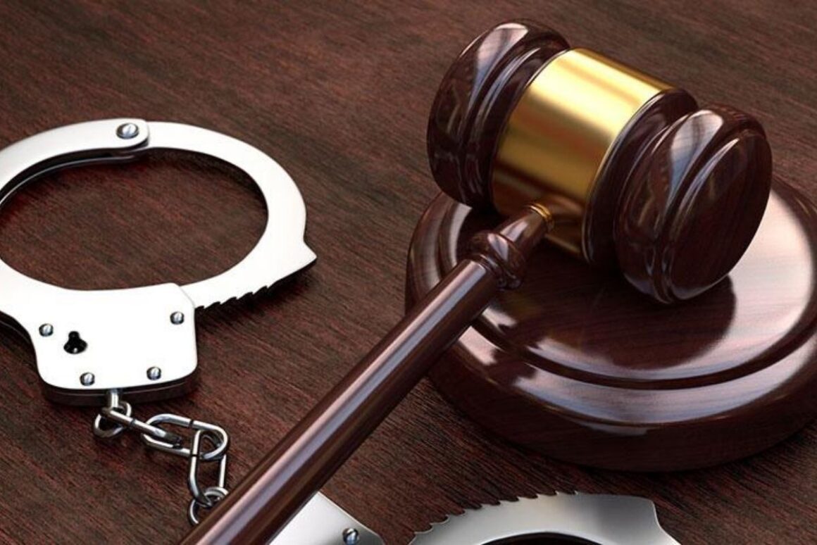 What Are The 7 Principles Of Criminal Law