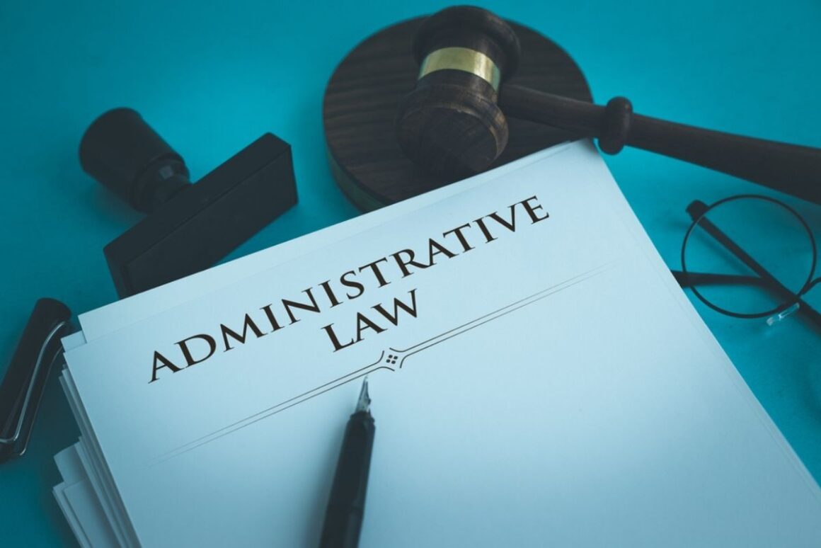 Who Makes Administrative Law