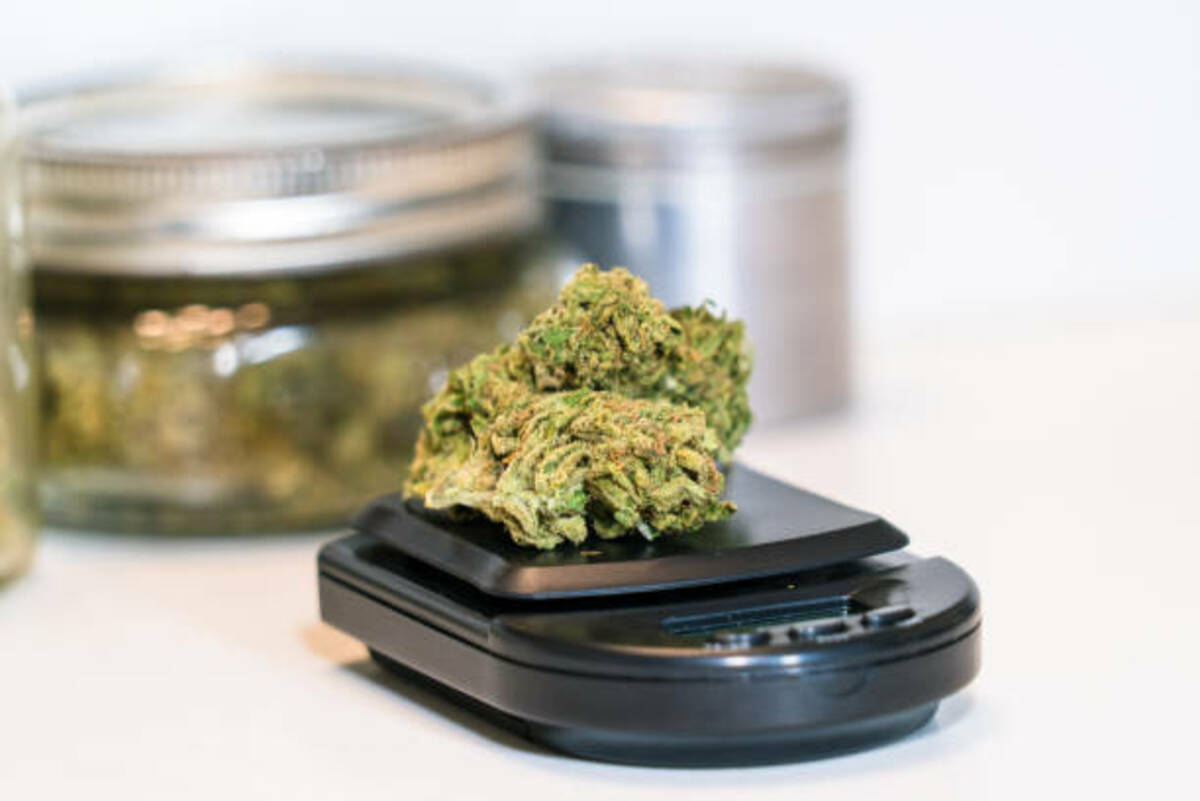 How Much Is A Gram Of Weed Here Is Everything You Should Know 