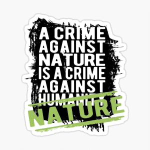 What are the different types of crimes against nature? 