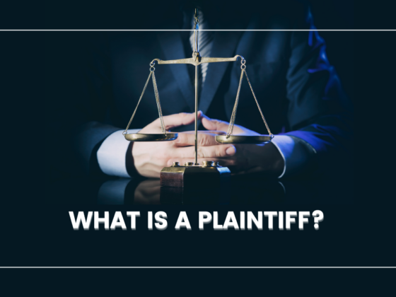 What Is A Plaintiff? Who Can Be A Plaintiff In A Legal Case?